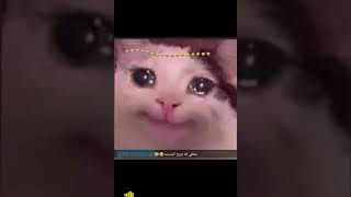 شكلي لما اروح المدرسه 