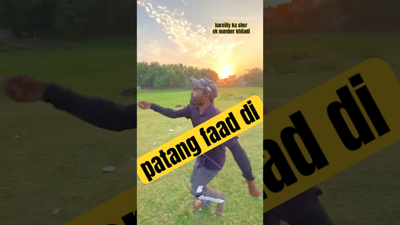 bareilly ke patangbaaz | 