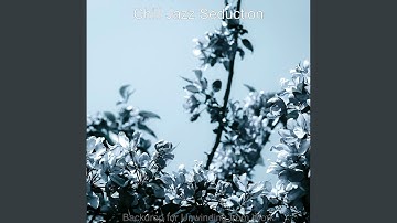 Dashing Backdrops for Unwinding from Work