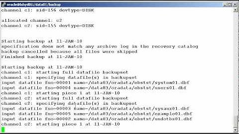 Cold backup of a database using rman