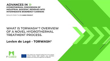 What is TORWASH®? Overview of a novel hydrothermal treatment process. Levien de Legé - TORWASH®