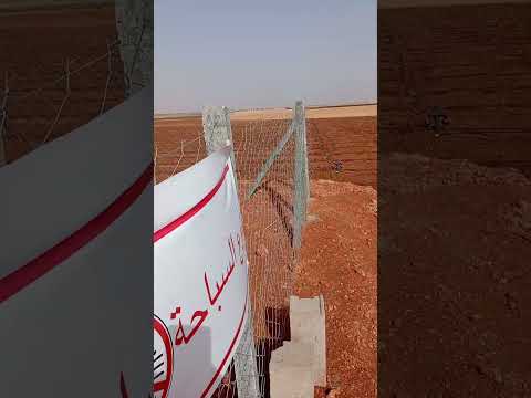 غرس اشجار اربيكوين