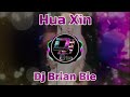 Hua Xin 花心 Remix By Dj Brian Bie