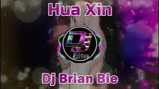 Hua Xin 花心 Remix By Dj Brian Bie