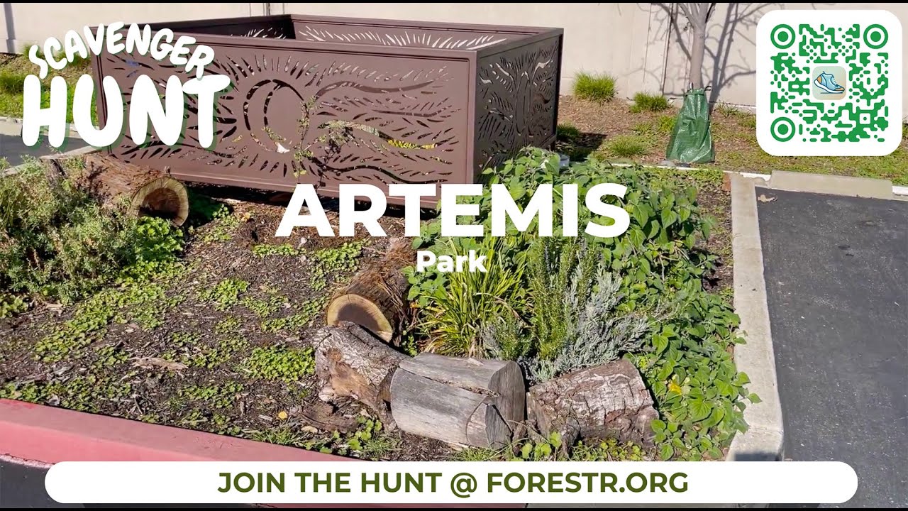 Artemis Park (Castro Valley) — San Francisco Bay Scavenger Hunt QR Code Stop