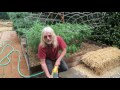 Cannabis Cultivation: Activated Aerated Compost Tea (AACT)