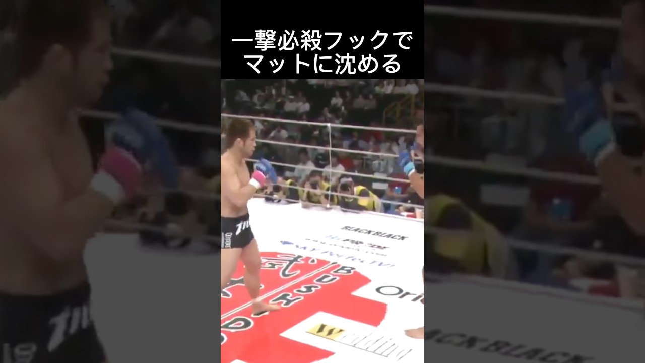 マッハ豪快KO🔥#格闘技