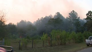 Firefighter flown to hospital with burns after battling large grass fire in Waller County, offic...