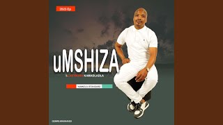 Ungithengisela inkinsela