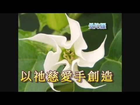 活水感謝詩練習曲S 1