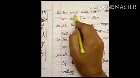 MLZS JHANSI CLASS 1 EVS Chapter 2 My Body Lecture 4