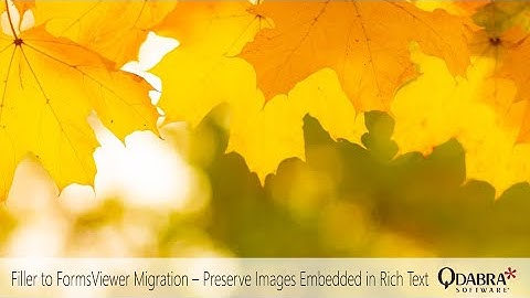 Filler to FormsViewer Migration – Preserve Images Embedded in Rich Text: Qdabra Webinars 2022-10-13