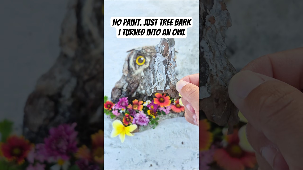 No paint. Just tree bark that I turned into a Spotted Eagle Owl 🦉🌿 #shorts #natureart #cottagecore