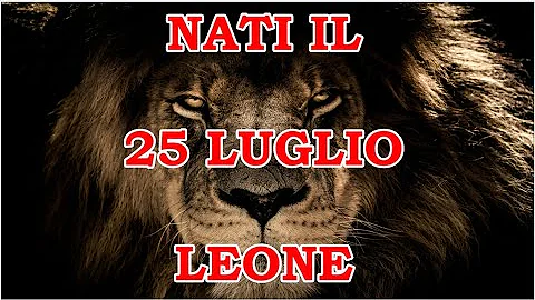 Cosa ama la donna Leone?
