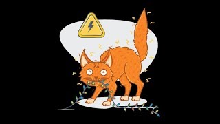 Cat hit electric shock - кошку бьет током - funny animals Cat hit electric shock - кошку бьет током - funny animals