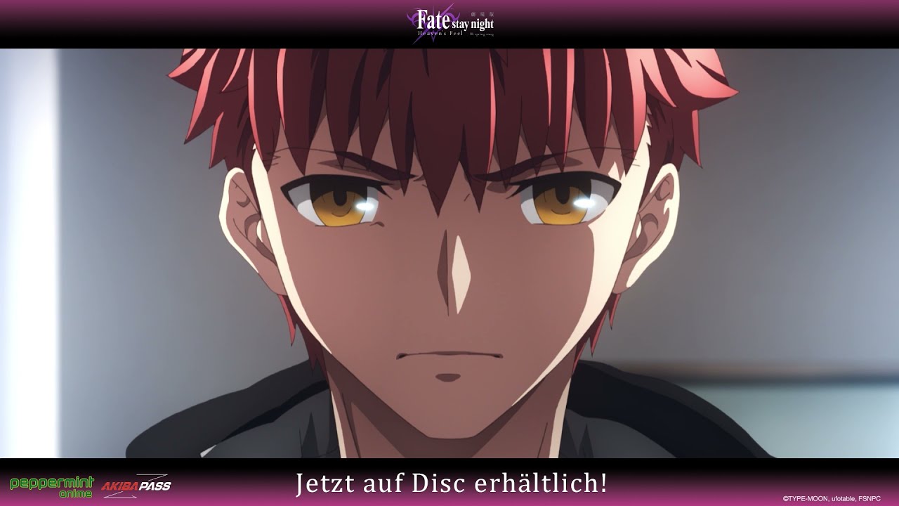 Fate/stay night: Heaven's Feel III – All the Anime