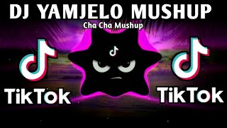 DJ YAMJELO X DAME UN GRR X TRALELO TRALALA VIRAL MUSHUP (TIKTOK VIRAL REMIX) 2025