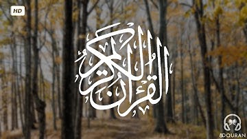 قرآن كريم بصوت عبد الرحمن مسعد | حالات واتس اب دينية - سورة التوبة