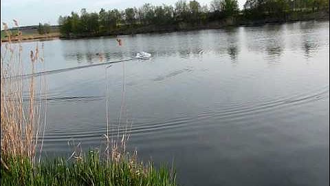 Multiplex TwinStar 2 with floats landing - second time