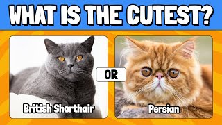 WHICH CAT DO YOU PREFER?