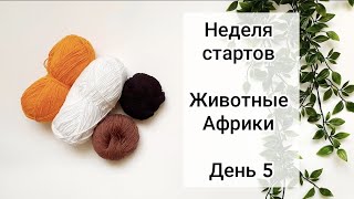 Тигр / Неделя стартов 