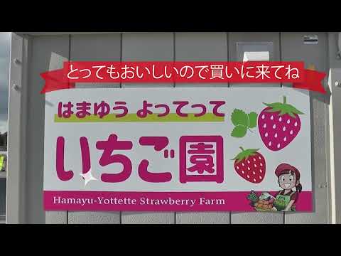 第28回ふれあい文化祭　NPO法人はまゆう作業所