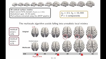 Multiscale optimization for shape registration - Fleur Gaudfernau - Shape seminar