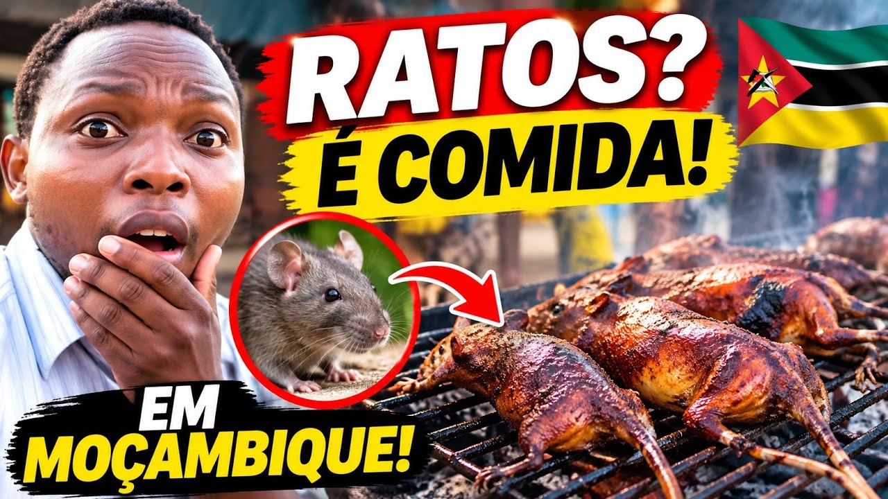 Porque os Moçambicanos 🇲🇿 comem Ratos _ Cultura de Moçambique