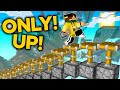 HO FINITO ONLY UP! SU MINECRAFT *RECORD*
