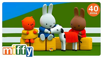 Farmer John's Surprise | Miffy | Cartoons for kids
