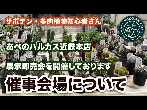あべのハルカス近鉄本店　ウイング館９F催事場　イベントのお知らせ