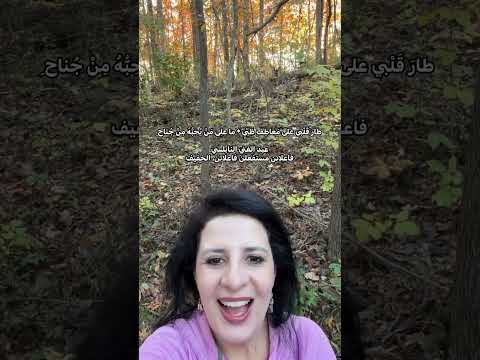 طار ق ل بي على م عاط ف ظ ب ي ما على م ن ي ح ب ه م ن ج ناح فاعلاتن مستفعلن فاعلاتن الخفيف