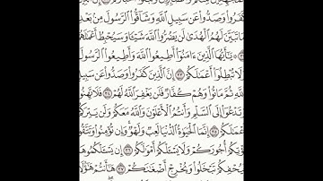 سورة محمد 30-38 (٥١٠)     Sheikh Anas AlHibri