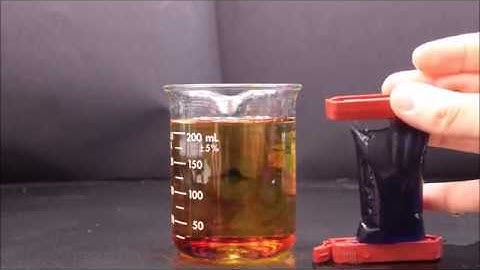 Dialysis Tubing Diffusion Time-lapse