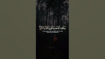 اكتب شي تؤجر عليه ♡✨️ | القارئ ناصر القطامي | قرآن كريم