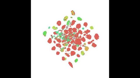T_sne clustering