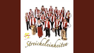 Video thumbnail of "Die Schwindligen 15 - Bodensee-Polka"