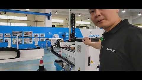 SWITEK 3 Axis Servo Injection Robot for Small Injection Molding Machine