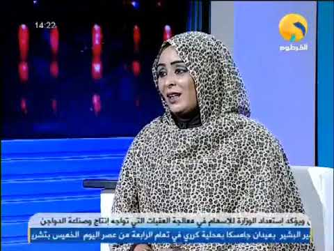 الشاعر عثمان حسن الحاج عثمان دابي الوغش