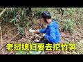 美美要去挖竹笋，看到野菜要摘回去吃，树莓却不敢吃了，说怕有毒 #创作灵感  #老挝媳妇 #挖竹笋