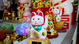 Lucky Cat