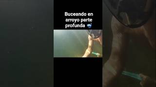 monedas en la profundidad del arroyo 🤿#pesca #fishing #bucear #aventura
