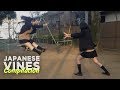 Best Japanese Vines of 2017 | Part 01 Vine Compilation