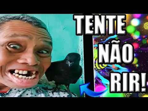 30 MINUTES OF DRUGS - IF YOU LAUGH, RESTART THE VIDEO - TRY NOT TO LAUGH IMPOSSIBLE (HARD LEVEL)