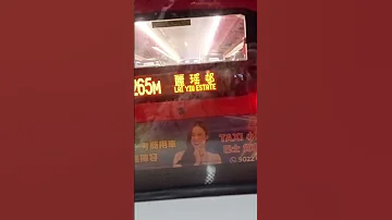 Highlights Viralshort Travel Hongkonglife Live Music 