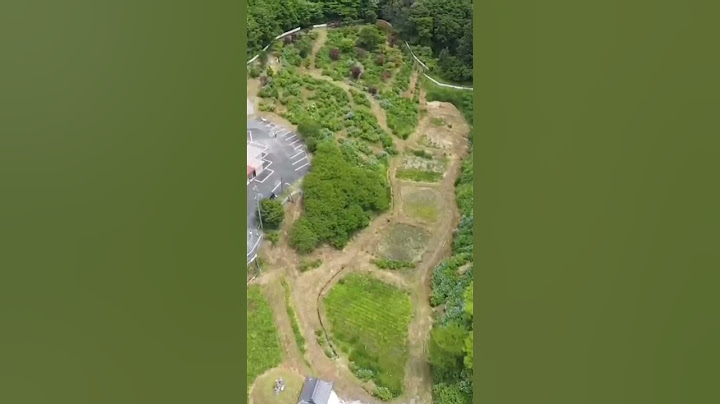 Saidoji Temple, with 1300year history, captured from the sky. #japanheritage #japan #temple #drone