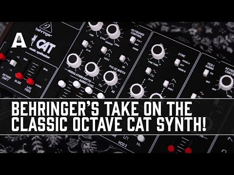 Behringer CAT Analog Synthesizer - Meows, Purrs & Octave Synth Sounds...?