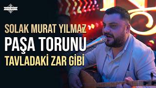Solak Murat Yılmaz - Paşa Torunu - Tavladaki Zar Gibi Ilmaz