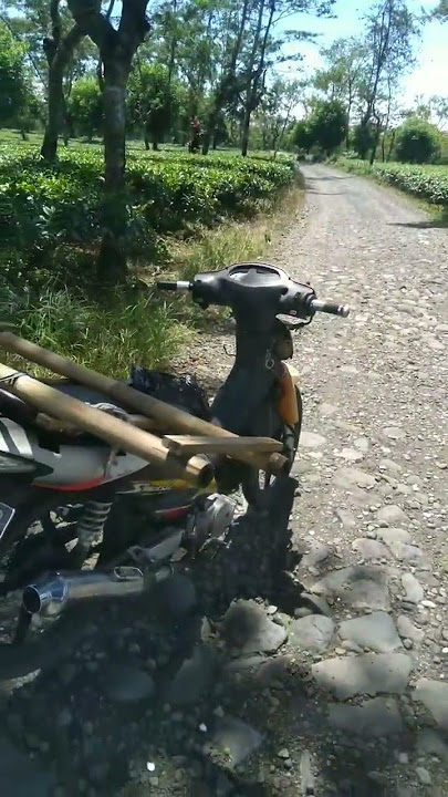 MOTOR MOGOK PAS DIPERTENGAHAN KEBUN TEH @ShortsBreak_ @ShortStory-mo8ov