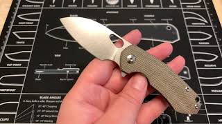Giant Mouse Ace Riv Overview